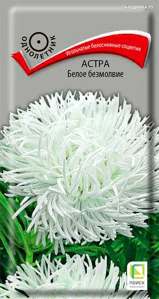 Астра Белое безмолвие 0,3, Поиск