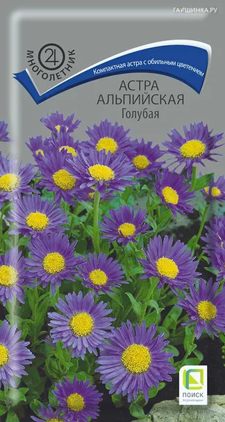 Астра альпийская Голубая 0,04, Поиск