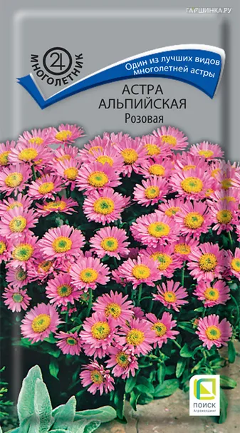Астра альпийская Розовая 0,04, Поиск