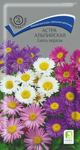 Астра альпийская Смесь окрасок 0,3, Поиск