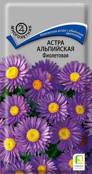 Астра альпийская Фиолетовая 0,04, Поиск