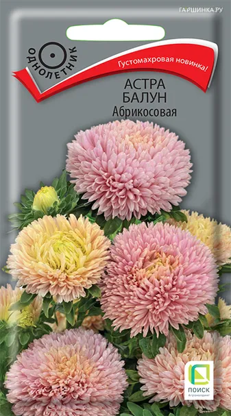 Астра Балун Абрикосовая 0,1, Поиск