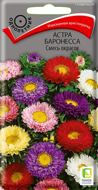Астра Баронесса Смесь окрасок 0,3, Поиск