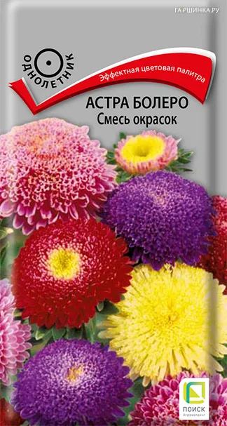 Астра болеро Смесь окрасок 0,3, Поиск