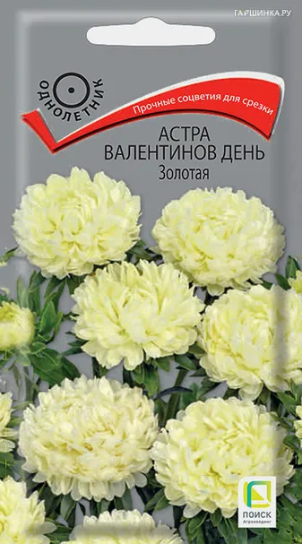 Астра Валентинов день Золотая 0,2, Поиск