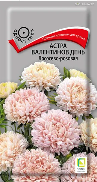Астра Валентинов день Лососево-розовая 0,2 г, Семена Поиск