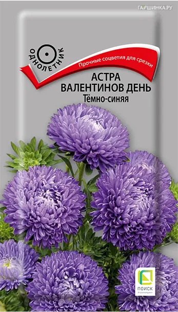 Астра Валентинов день Темно-синяя 0,2, Поиск