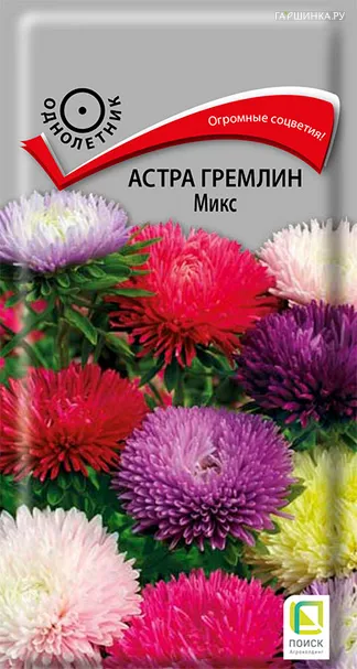 Астра гремлин Микс 0,3, Поиск
