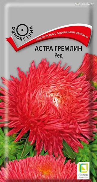 Астра гремлин Ред 0,3, Поиск