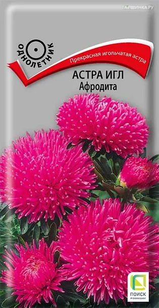 Астра игл Афродита 0,3, Поиск