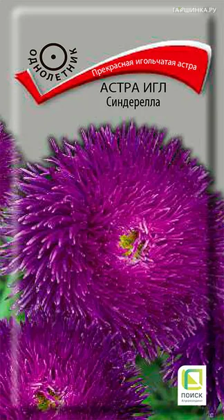 Астра игл Синдерелла 0,2 г, Семена Поиск