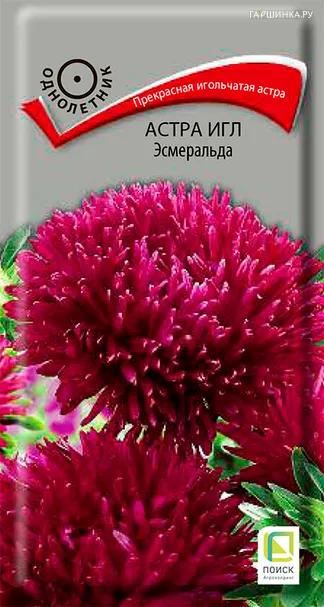 Астра игл Эсмеральда 0,2, Поиск