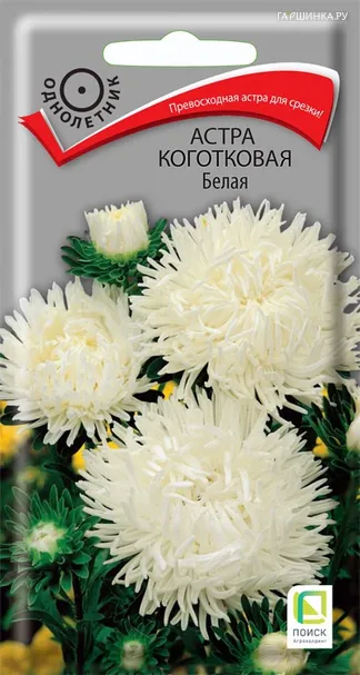 Астра коготковая Белая 0,3 г, Семена Поиск