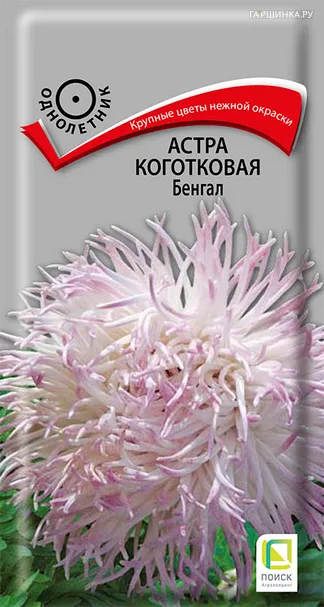 Астра коготковая Бенгал 0,3, Поиск