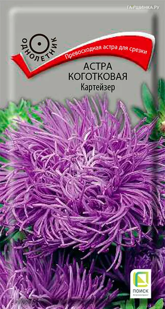 Астра коготковая Картейзер 0,3, Поиск
