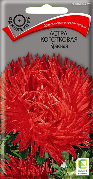 Астра коготковая Красная 0,3, Поиск