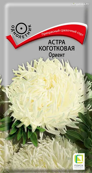 Астра коготковая Ориент 0,3, Поиск