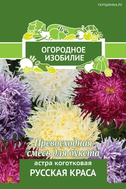 Астра коготковая Русская краса 0,3, Поиск