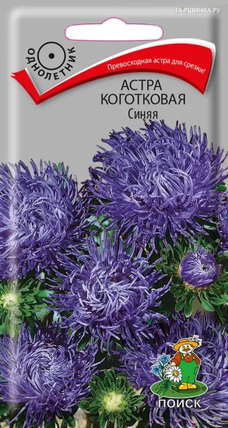 Астра коготковая Синяя 0,3, Поиск