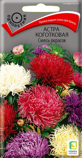 Астра коготковая Смесь окрасок 0,3 г, Семена Поиск