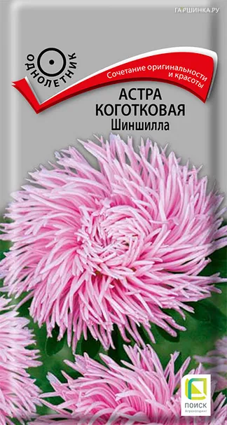 Астра коготковая Шиншилла 0,3, Поиск