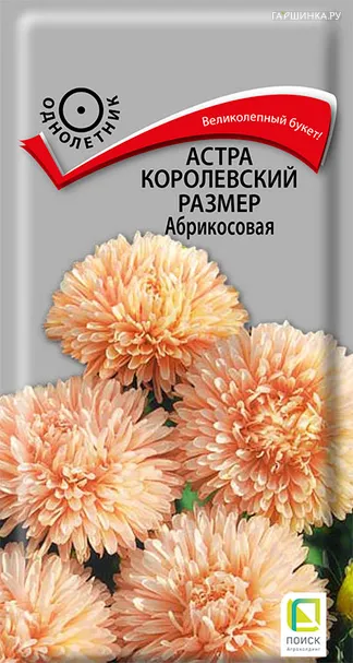 Астра Королевский размер Абрикосовая 0,1 г, Семена Поиск