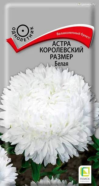 Астра королевский размер Белая 0,1, Поиск