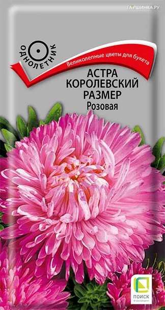 Астра королевский размер Розовая 0,1, Поиск