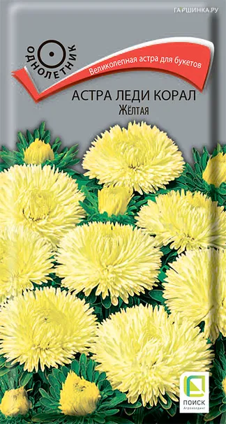 Астра Леди Корал Желтая 0,1, Поиск