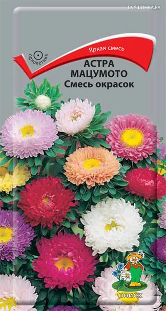 Астра Смесь окрасок Мацумото  0,1, Семена Поиск