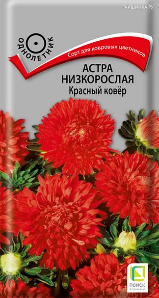 Астра низкорослая Красный ковер 0,2 г, Семена Поиск