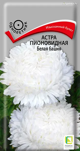 Астра пионовидная Белая башня 0,3, Поиск