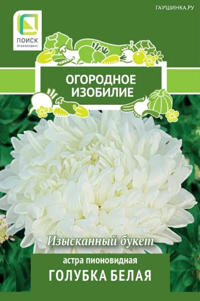 Астра пионовидная Голубка белая 0,3, Поиск