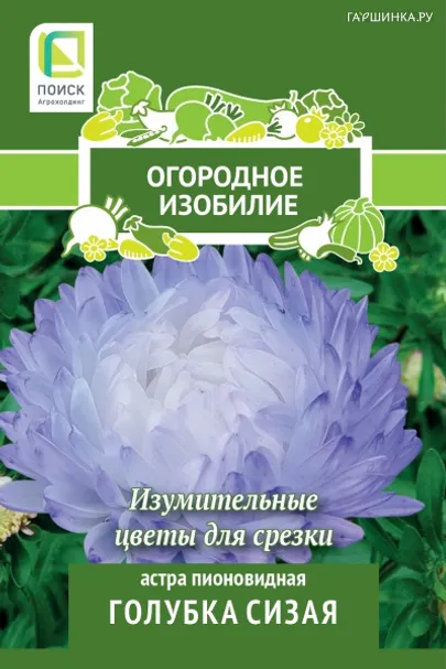 Астра пионовидная Голубка сизая 0,3 г, Семена Поиск