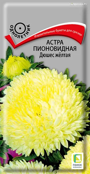 Астра пионовидная Дюшес желтая 0,3, Поиск