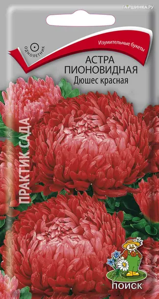 Астра пионовидная Дюшес красная 0,3, Поиск