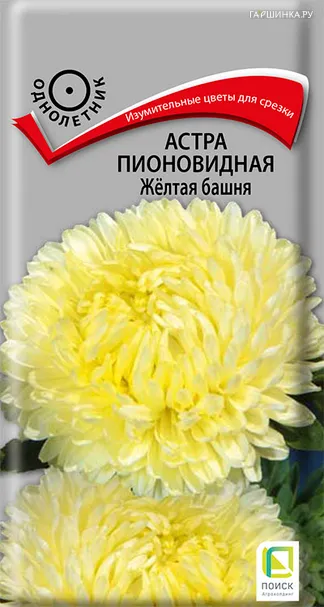 Астра пионовидная Желтая башня 0,3, Поиск