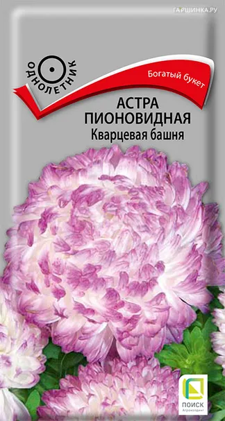 Астра пионовидная Кварцевая башня 0,3, Поиск