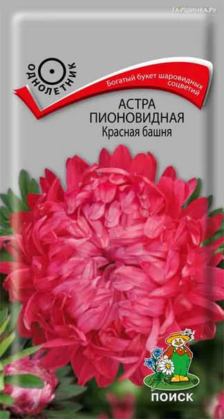 Астра пионовидная Красная башня 0,3, Поиск