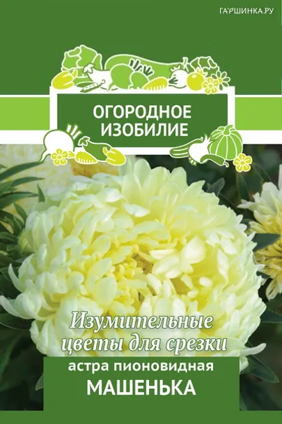 Астра пионовидная Машенька 0,3, Поиск