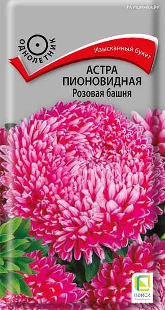 Астра пионовидная Розовая башня 0,3, Поиск