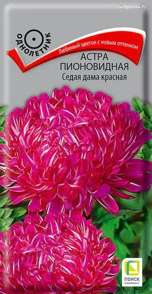 Астра пионовидная Седая дама красная 0,3, Поиск