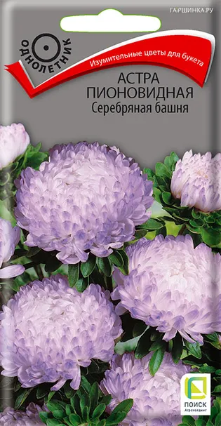 Астра пионовидная Серебряная башня 0,3, Поиск