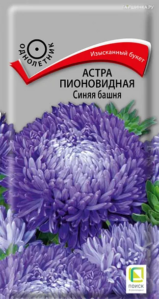 Астра пионовидная Синяя башня 0,3, Поиск