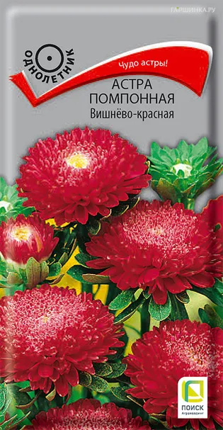Астра помпонная Вишнево-красная 0,3, Поиск