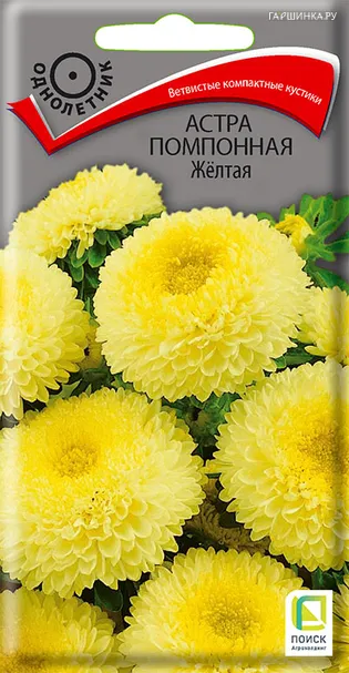 Астра помпонная Желтая 0,3, Поиск