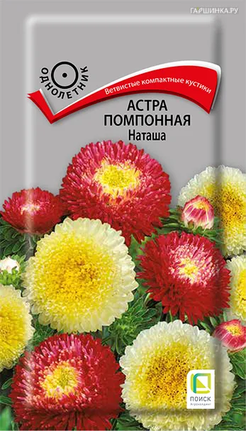 Астра помпонная Наташа 0,3, Поиск