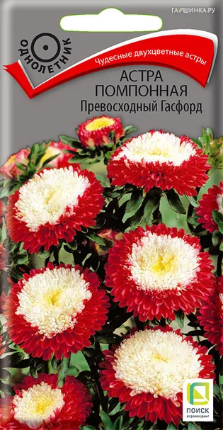 Астра помпонная Превосходный Гасфорд 0,3, Поиск