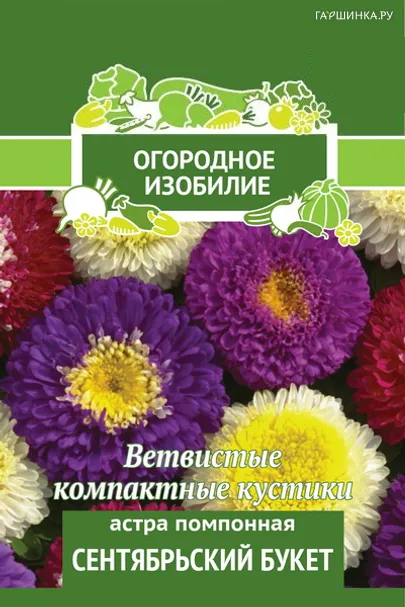 Астра помпонная Сентябрьский букет 0,3, Поиск