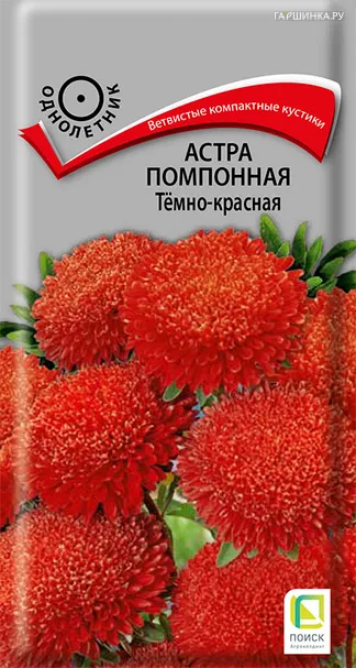 Астра помпонная Темно-красная 0,3, Поиск